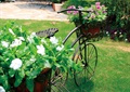 庭院景观,雕塑小品,单车雕塑,花架