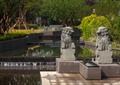 石狮子雕塑,水池,水池水景