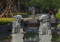 石狮子,石狮子雕塑,水池