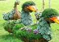 鸭子雕塑,鸭子小品,草坪