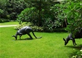 袋鼠雕塑,草坪,动物雕塑