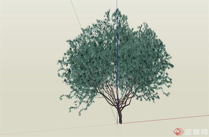 常见景观树植物SU模型库(1)