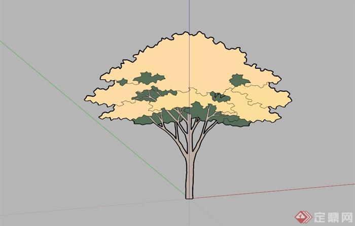 常见景观树植物SU模型库(3)