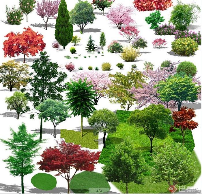 多种园林景观设计psd植物素材(1)