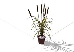 室内常见植物装饰摆盆SU(草图大师)模型