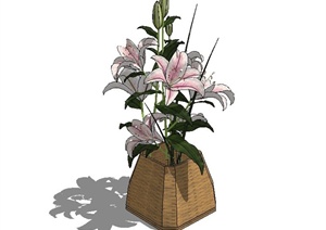 现代植物装饰摆盆设计SU(草图大师)模型