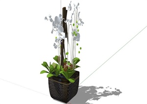 室内常见植物装饰摆盆SU(草图大师)模型素材