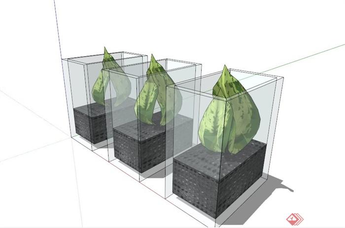 三个室内植物装饰组合SU模型(1)