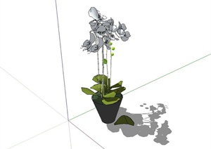 室内植物装饰盆栽设计SU(草图大师)模型