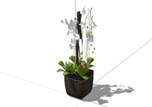 现代精致室内植物装饰摆盆设计SU(草图大师)模型