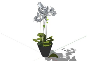 室内土陶盆植物装饰SU(草图大师)模型