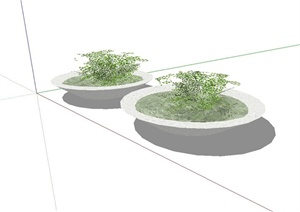 室内植物装饰两个摆盆SU(草图大师)模型