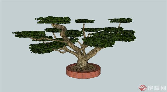 现代树池设计SU模型素材(1)