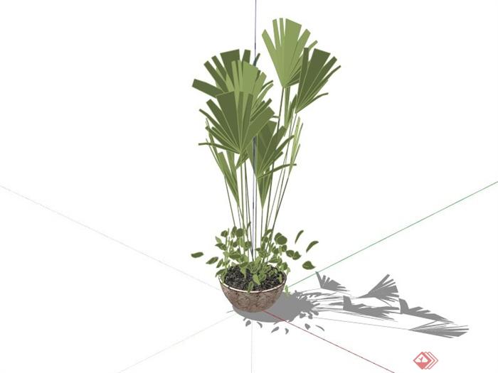 室内绿植花盆设计SU模型(1)