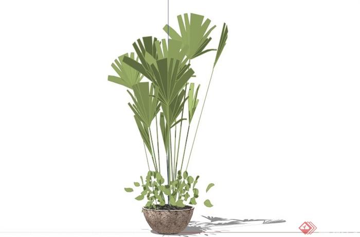 室内绿植花盆设计SU模型(3)