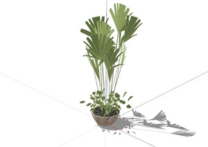 室内绿植花盆设计SU(草图大师)模型
