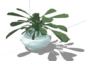 室内玻璃花盆盆栽设计SU(草图大师)模型