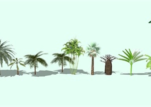 5组热带树木合集SU(草图大师)模型