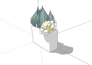 现代室内植物摆盆设计SU(草图大师)模型