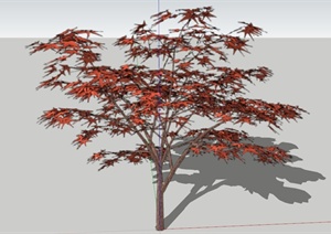 六种红枫景观植物SU(草图大师)模型