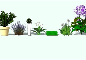现代盆栽，花卉，地被植物素材设计SU(草图大师)模型