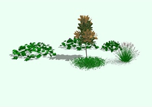 多种灌木、花卉植物设计SU(草图大师)模型