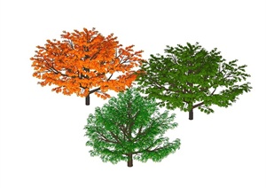 三棵大树组合设计SU(草图大师)模型