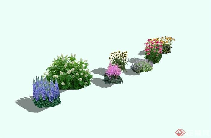 多种景观花卉植物集合su模型(1)