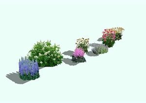 多种景观花卉植物集合SU(草图大师)模型