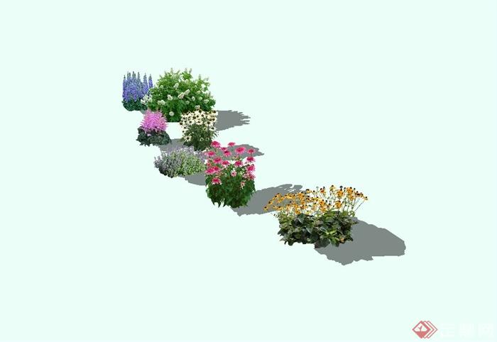 多种景观花卉植物集合su模型(2)