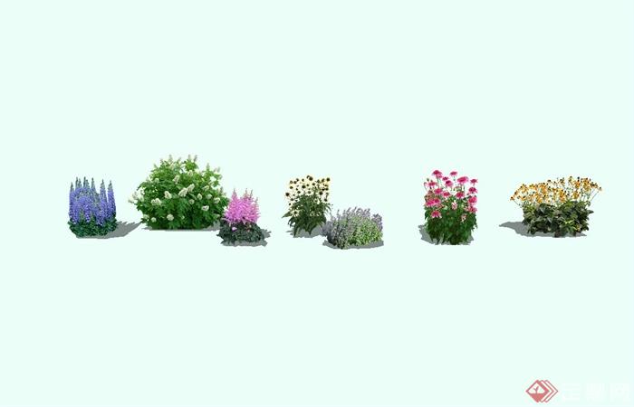 多种景观花卉植物集合su模型(3)