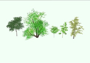 精致详细的大树组合设计SU(草图大师)模型