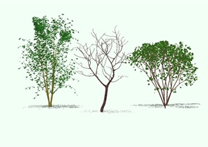 三种不同的树木组合设计SU(草图大师)模型