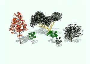 精致详细的景观树组合设计SU(草图大师)模型