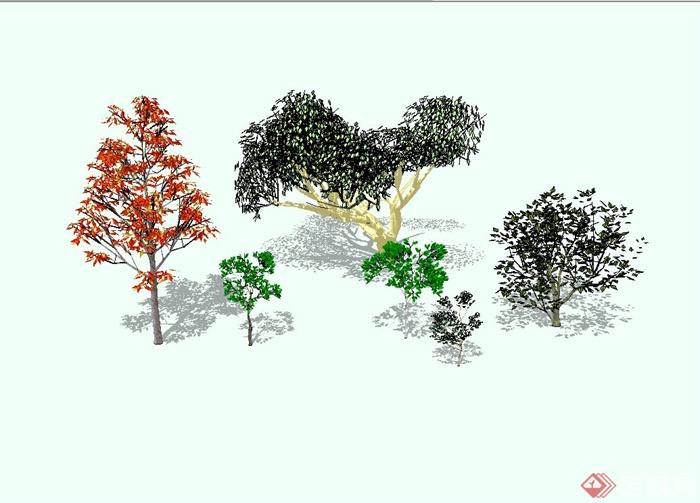 精致详细的景观树组合设计su模型(1)