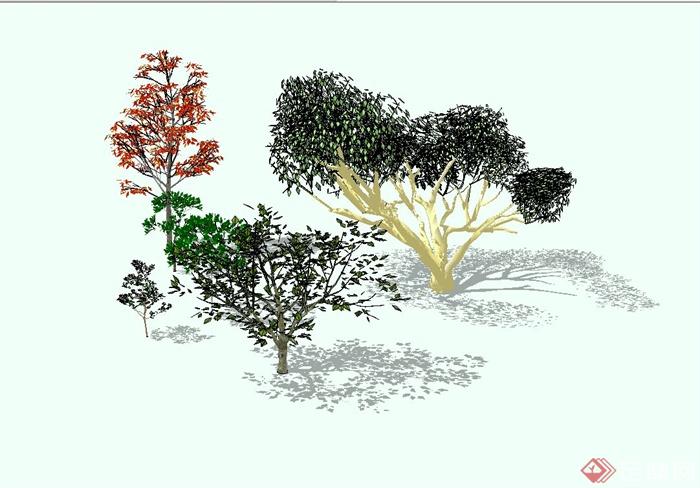 精致详细的景观树组合设计su模型(2)