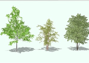 三种不同的植物集合设计SU(草图大师)模型