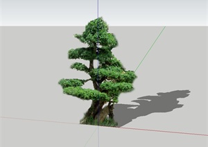 某2d造型树设计SU(草图大师)模型