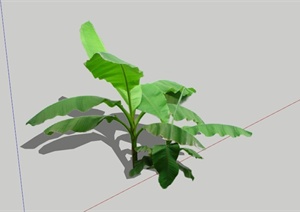现代芭蕉植物素材设计SU(草图大师)模型