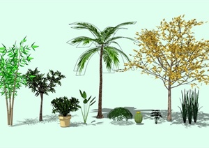 现代植物群落素材设计SU(草图大师)模型