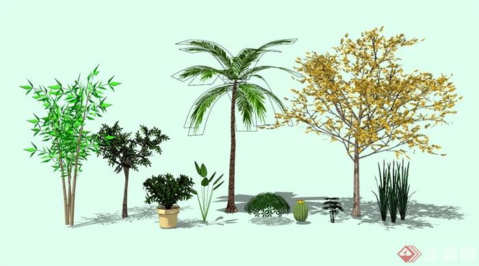 现代植物群落素材设计SU模型(1)