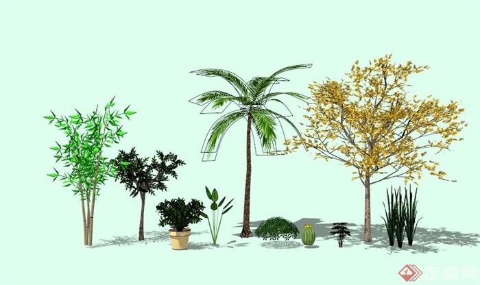 现代植物群落素材设计SU模型(3)