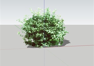 灌木植物设计SU(草图大师)模型