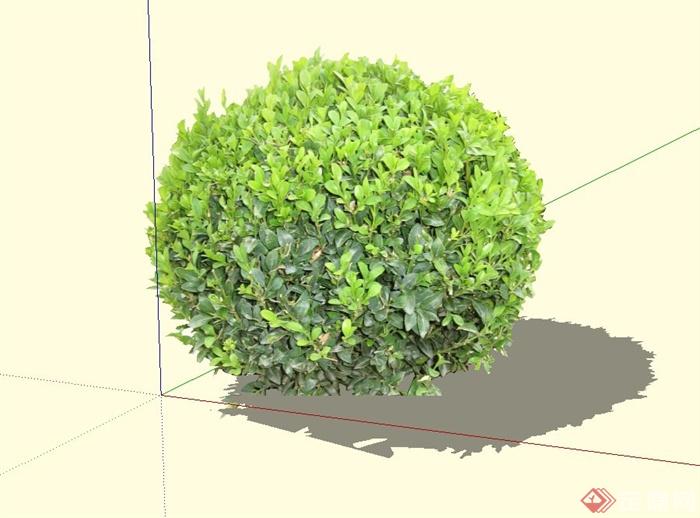 冬青球景观植物设计su模型(1)