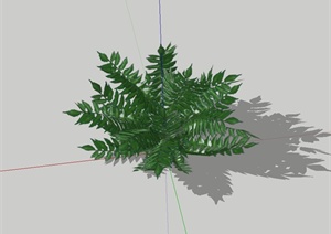 园林景观蕨类植物设计SU(草图大师)模型