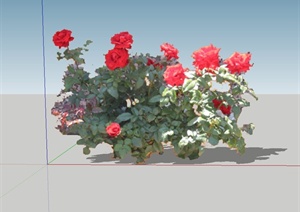 4种月季植物设计SU(草图大师)模型