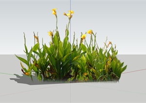 美人蕉植物素材设计SU(草图大师)模型
