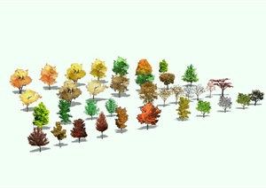 多种不同的景观乔木植物设计SU(草图大师)模型