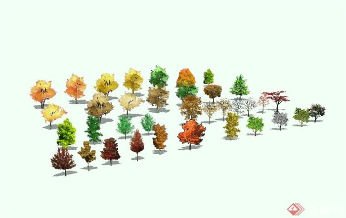 多种不同的景观乔木植物设计su模型(1)