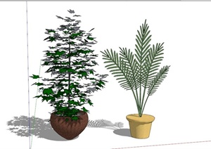 两个室内盆栽植物SU(草图大师)模型